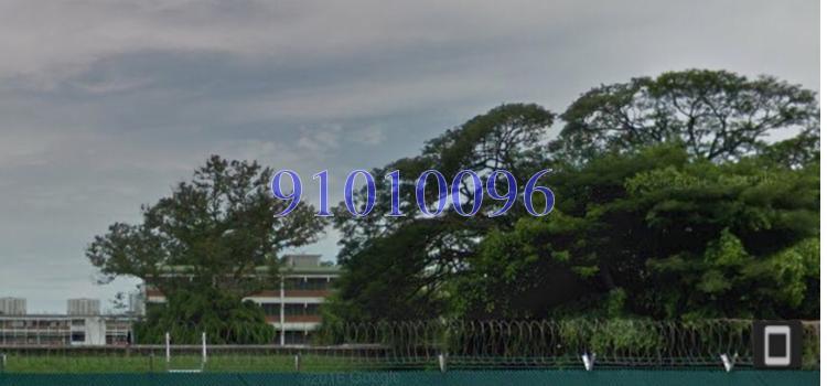 The Sunny Spring (D14), Apartment #132968722